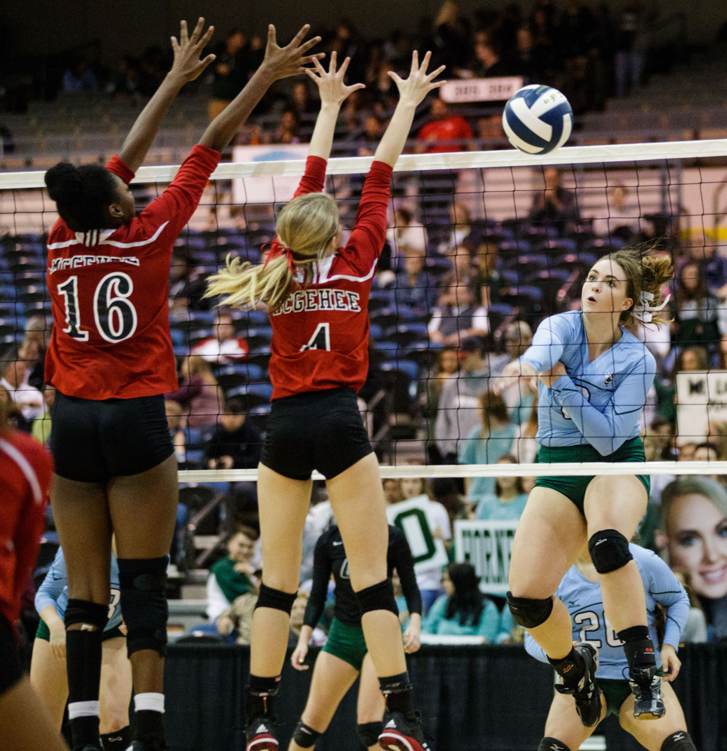 no.volleyballdivisionII.111017.010.JPG